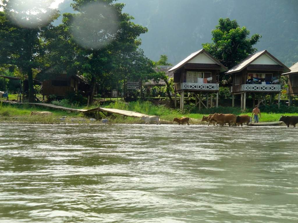 a4.bp.blogspot.com__kREJ9uXUEUY_VCPmeRG_6RI_AAAAAAAAAxE_rF_HC5ihYxg_s1600_vacas.jpg
