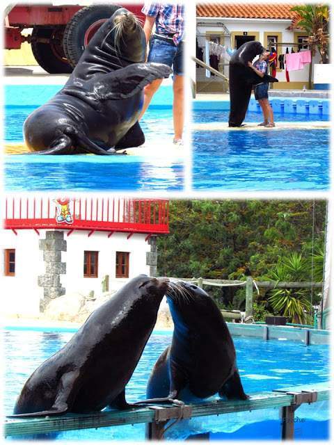 a4.bp.blogspot.com__qB70KMHQyU0_T_xa_bgtqnI_AAAAAAAAAOU_U3ADkqU4w38_s640_Apresenta_C3_A7_C3_A3o1.jpg