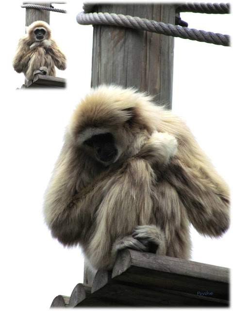 a4.bp.blogspot.com__QLfvEAhZVTI_T_xHRYHh49I_AAAAAAAAANQ_Btv75uBcos0_s640_Apresenta_C3_A7_C3_A3o1.jpg