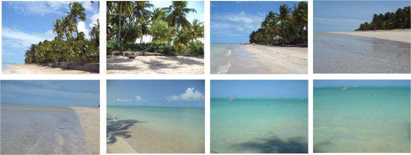 abaralhodeideias.files.wordpress.com_2012_09_praia.jpg_0a8ab22667cedb05874edc1428f8b4e3.jpg