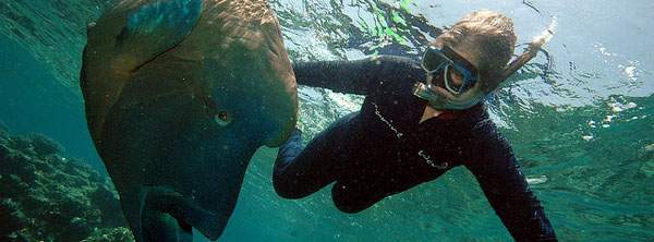 ablog.edreams.es_wp_content_uploads_sites_5_2013_08_snorkel12.jpg