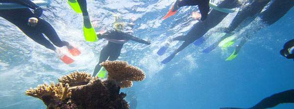 ablog.edreams.es_wp_content_uploads_sites_5_2013_08_snorkel17.jpg