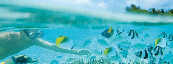 ablog.edreams.es_wp_content_uploads_sites_5_2013_08_snorkel7.jpg