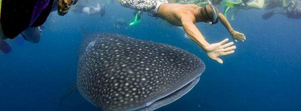 ablog.edreams.es_wp_content_uploads_sites_5_2013_08_snorkel8.jpg