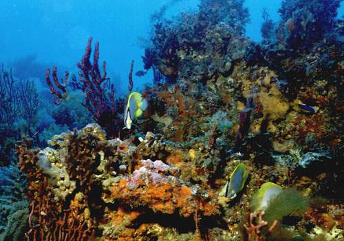 aboaviagem.org_uploads_2010_07_08_12_Hurghada_Egito.jpg