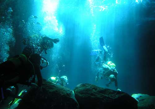 aboaviagem.org_uploads_2010_07_08_15_canaries.jpg