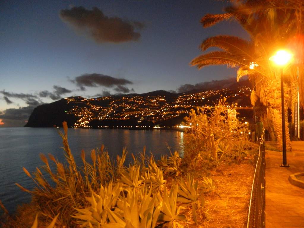 adl.dropboxusercontent.com_u_15955846_Madeira_DSCN1461.JPG