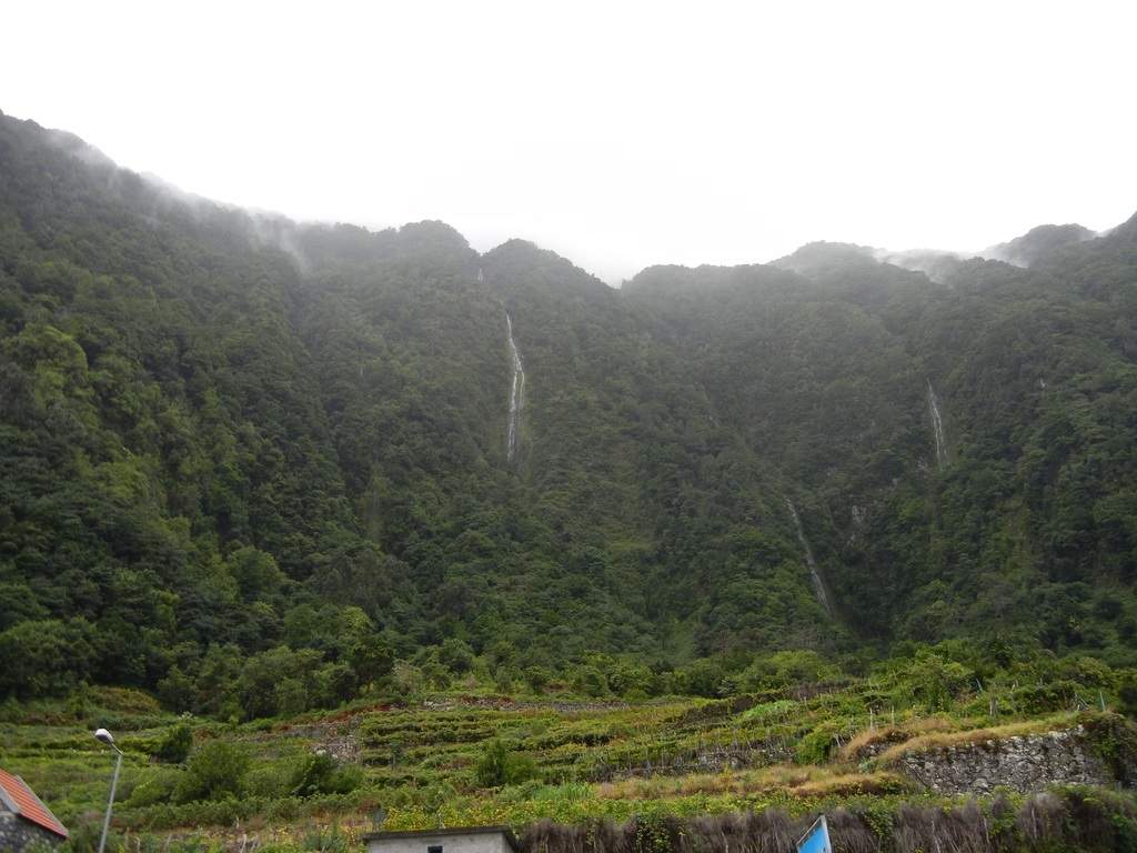 adl.dropboxusercontent.com_u_15955846_Madeira_DSCN1571.JPG
