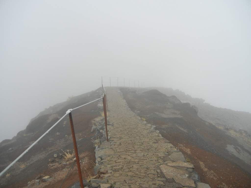 adl.dropboxusercontent.com_u_15955846_Madeira_DSCN1602.JPG