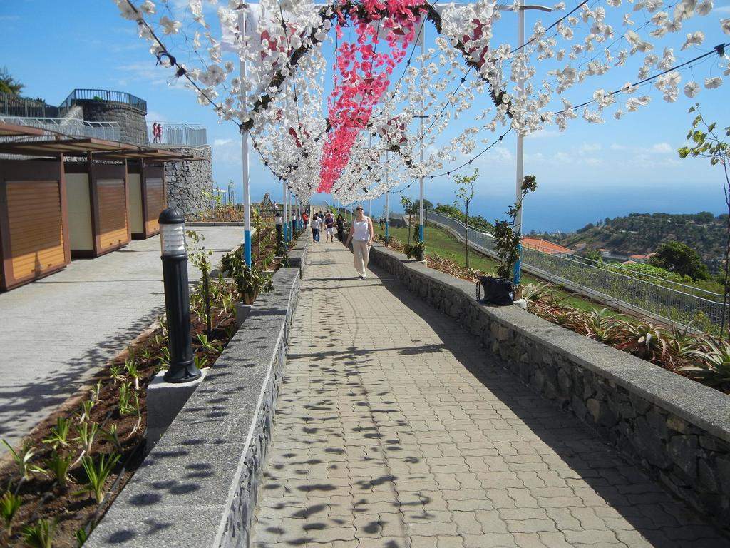 adl.dropboxusercontent.com_u_15955846_Madeira_DSCN1858.JPG