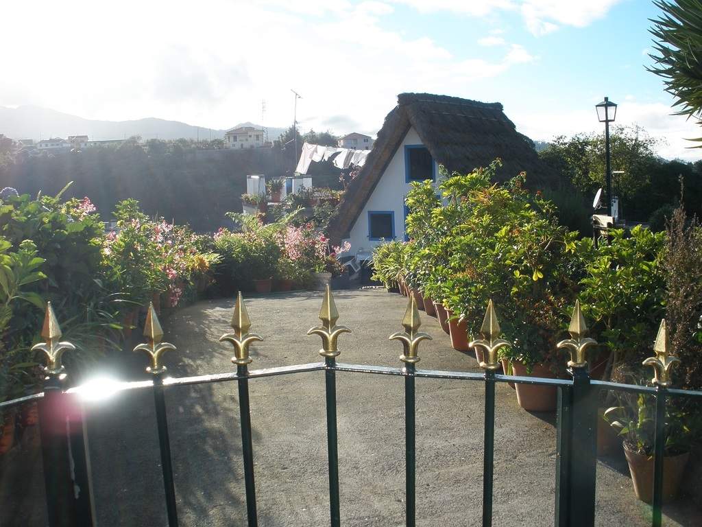 adl.dropboxusercontent.com_u_15955846_Madeira_P9170953.JPG