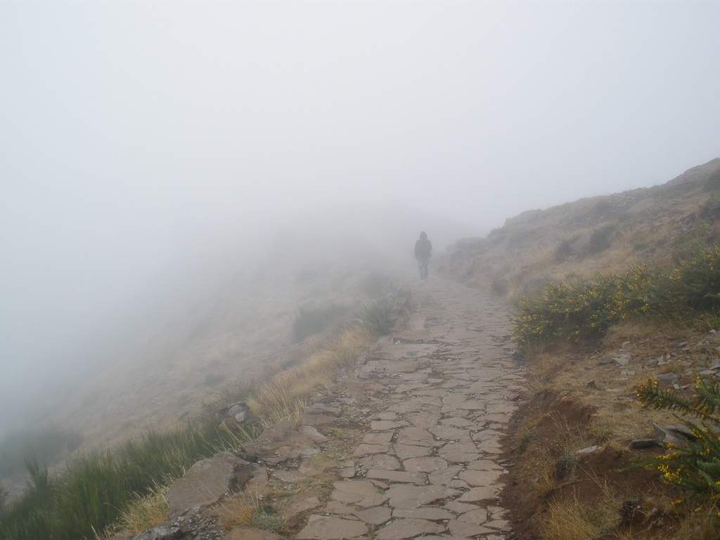 adl.dropboxusercontent.com_u_15955846_Madeira_P9191059.JPG