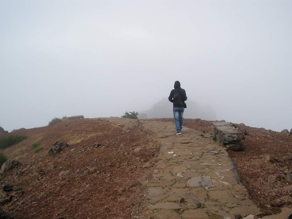 adl.dropboxusercontent.com_u_15955846_Madeira_P9191061.JPG