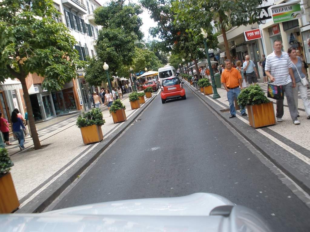 adl.dropboxusercontent.com_u_15955846_Madeira_P9191065.JPG