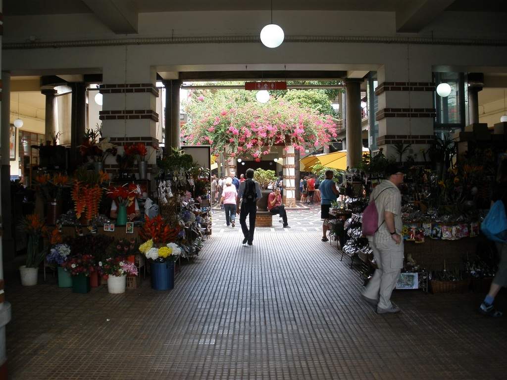 adl.dropboxusercontent.com_u_15955846_Madeira_P9191074.JPG