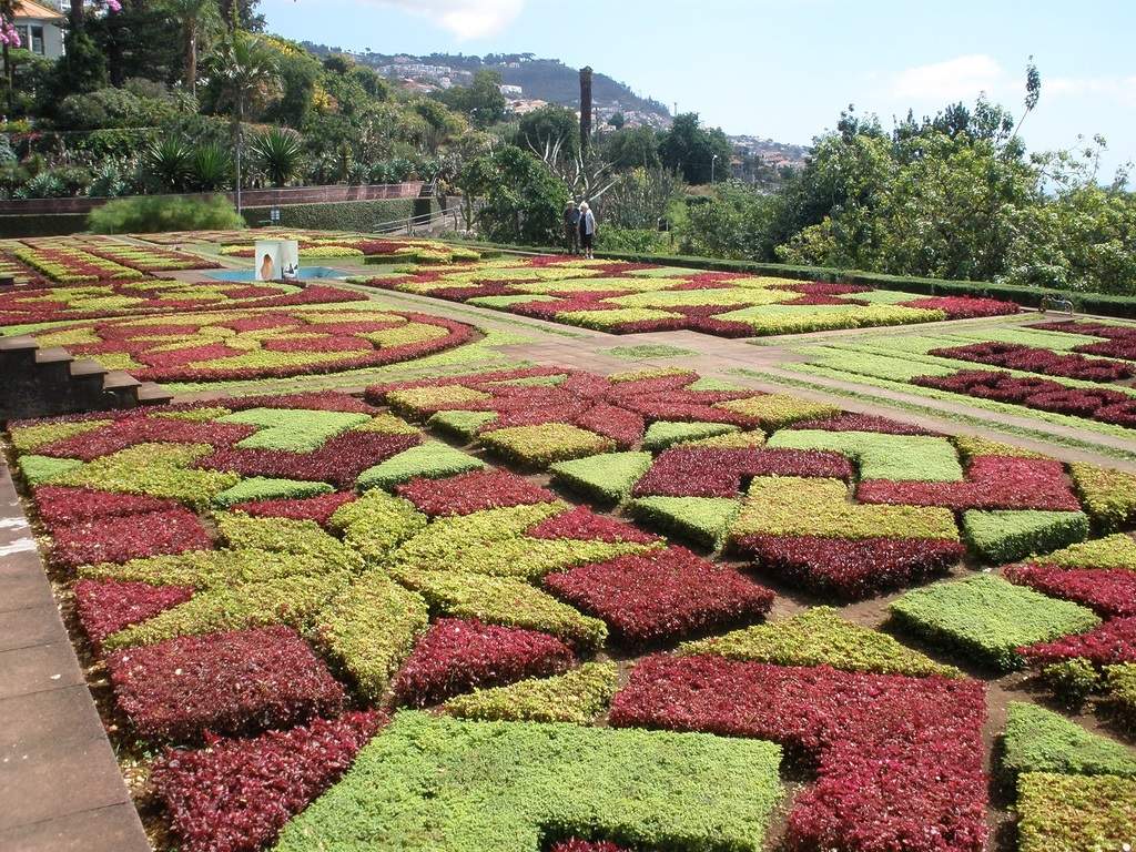 adl.dropboxusercontent.com_u_15955846_Madeira_P9211392.JPG