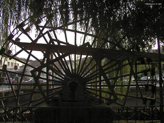 afarm7.static.flickr.com_6087_6109626714_05dc24d1e0_z.jpg