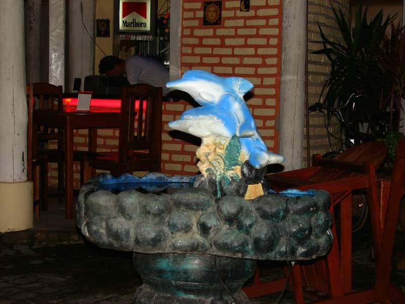 afotos_sapo_pt_H8RnRzhIEP3OQ4Dd9WB8__.jpg