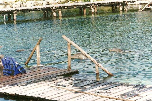 afotos_sapo_pt_nunoneves_pic_0000dazd_.jpg