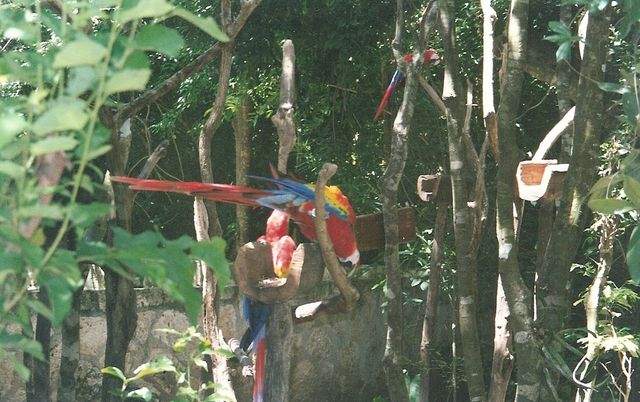 afotos_sapo_pt_nunoneves_pic_00010a94_.jpg