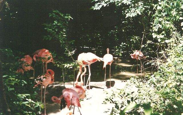 afotos_sapo_pt_nunoneves_pic_00011ypx_.jpg