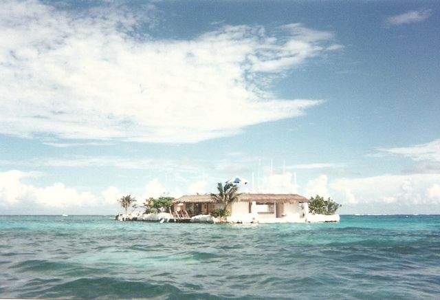 afotos_sapo_pt_nunoneves_pic_0001kz17_.jpg