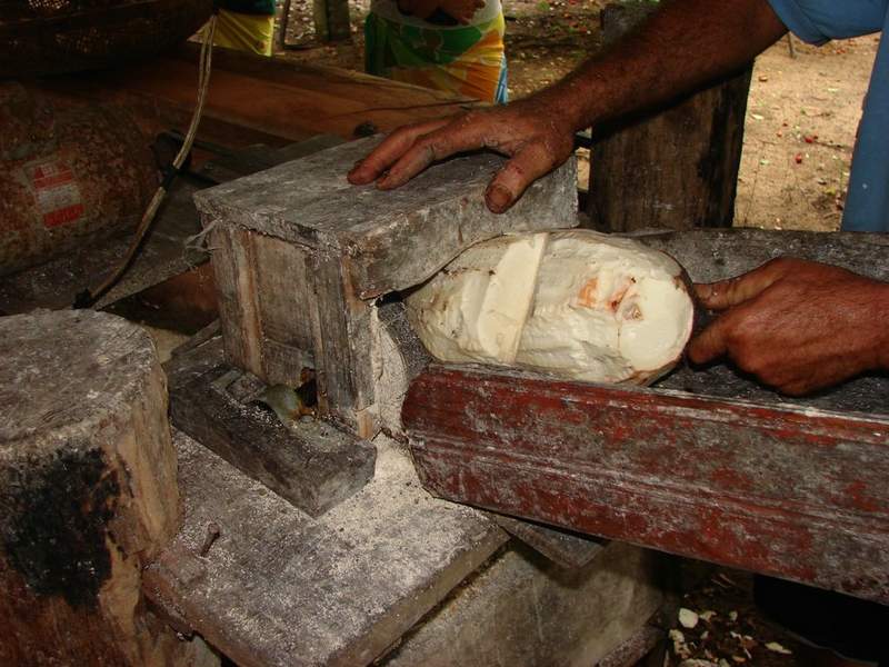 afotos_sapo_pt_ZYzuHbpzZp2GMsRcS8Rm__.jpg
