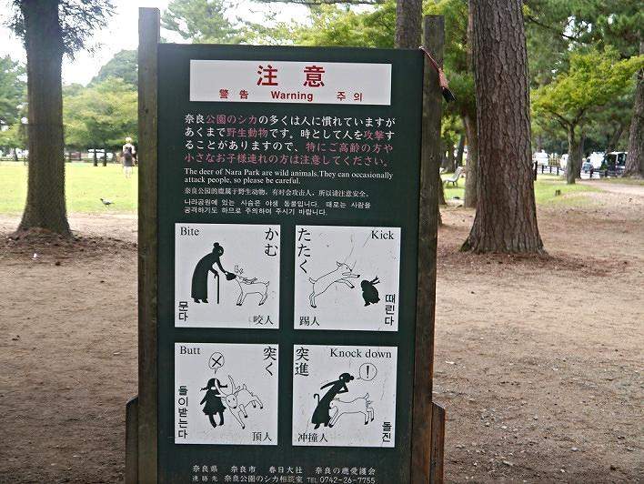 ai.imgur.com_ytbIhRt.jpg_c4ca4238a0b923820dcc509a6f75849b.jpg