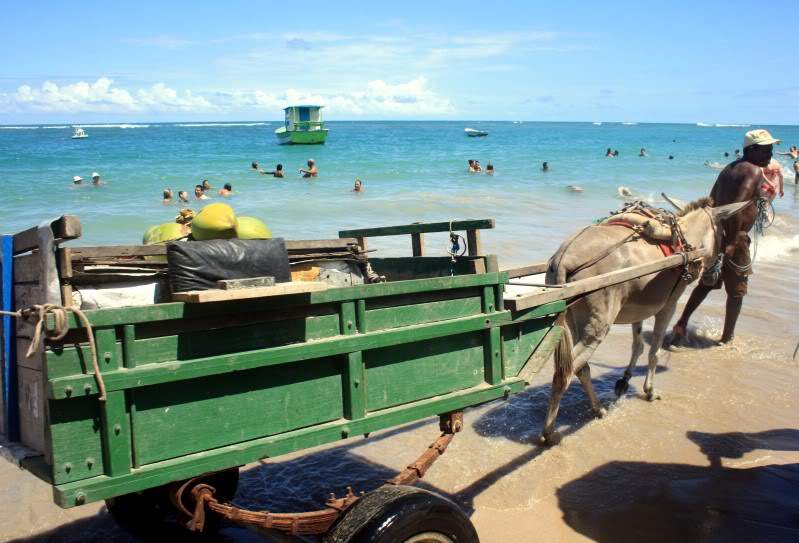 ai10.photobucket.com_albums_a111_mohini85_Praias_20Brasil_IMG_3350.jpg