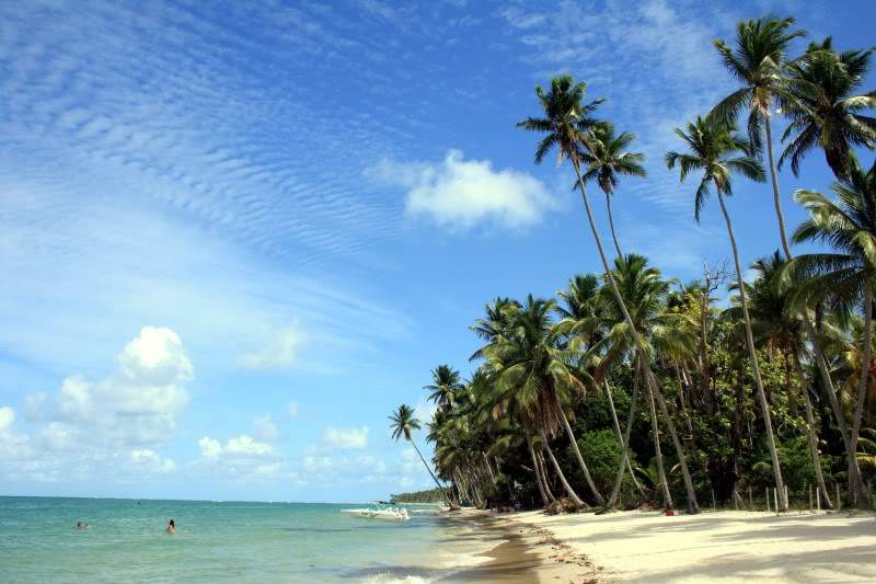 ai10.photobucket.com_albums_a111_mohini85_Praias_20Brasil_IMG_3536.jpg