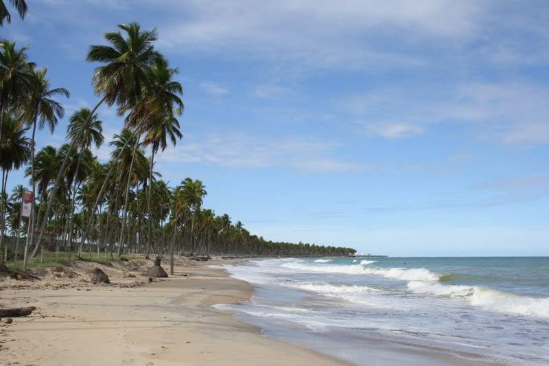 ai10.photobucket.com_albums_a111_mohini85_Praias_20Brasil_IMG_4294.jpg