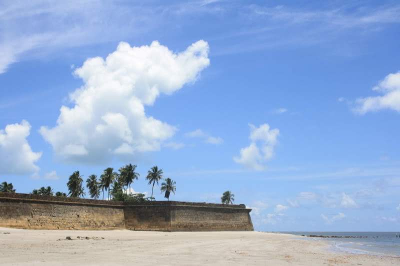 ai10.photobucket.com_albums_a111_mohini85_Praias_20Brasil_IMG_4450.jpg