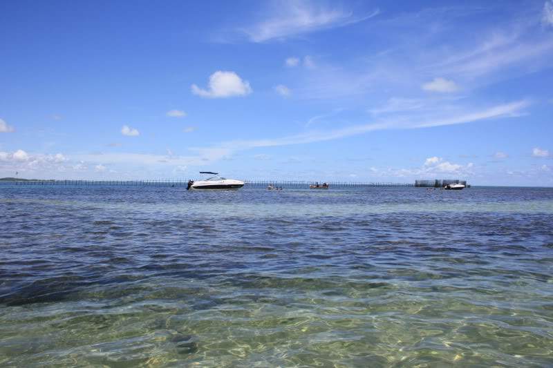 ai10.photobucket.com_albums_a111_mohini85_Praias_20Brasil_IMG_4462.jpg