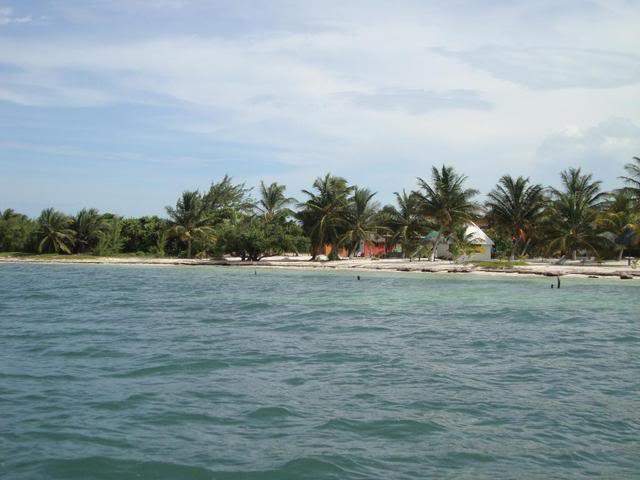 ai1000.photobucket.com_albums_af124_Apilif_Filipa_DSC03322.jpg