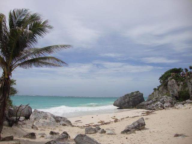 ai1000.photobucket.com_albums_af124_Apilif_Filipa_DSC03732.jpg
