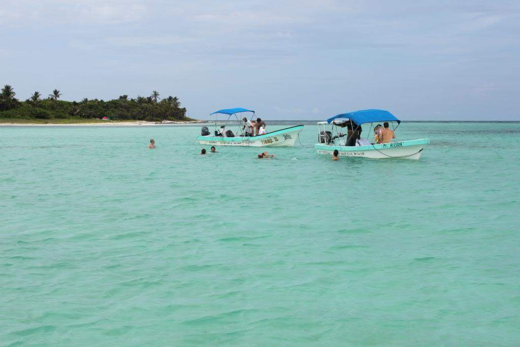 ai1000.photobucket.com_albums_af124_Apilif_Filipa_IMG_2422.jpg