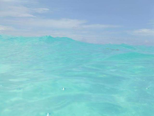 ai1000.photobucket.com_albums_af124_Apilif_Filipa_PICT0438.jpg