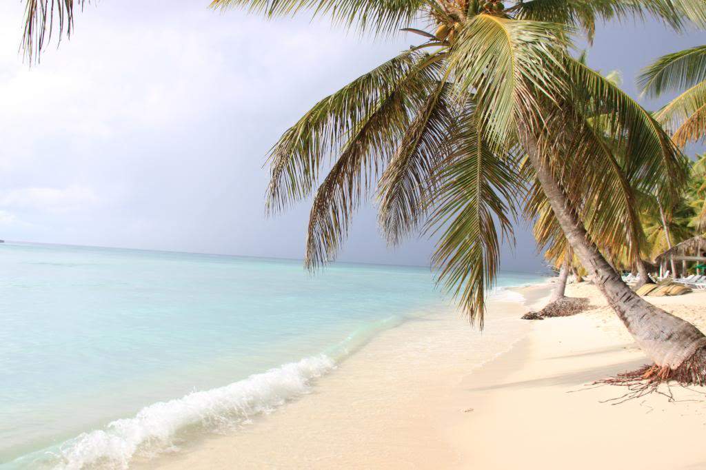 ai1000.photobucket.com_albums_af124_Apilif_Punta_20Cana_IMG_0361.jpg
