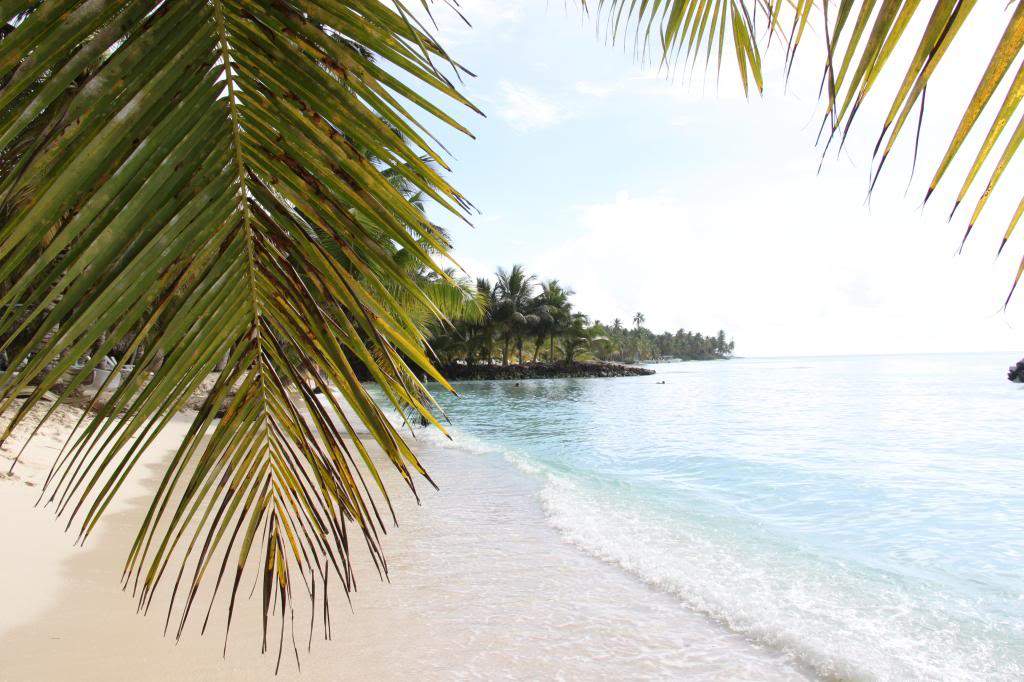 ai1000.photobucket.com_albums_af124_Apilif_Punta_20Cana_IMG_0367.jpg