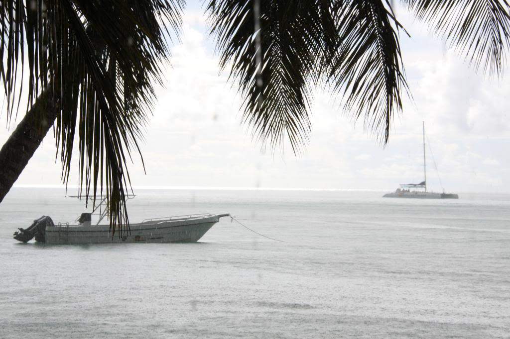 ai1000.photobucket.com_albums_af124_Apilif_Punta_20Cana_IMG_0384.jpg