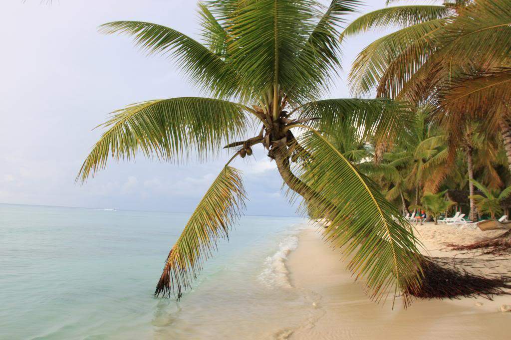ai1000.photobucket.com_albums_af124_Apilif_Punta_20Cana_IMG_0397.jpg