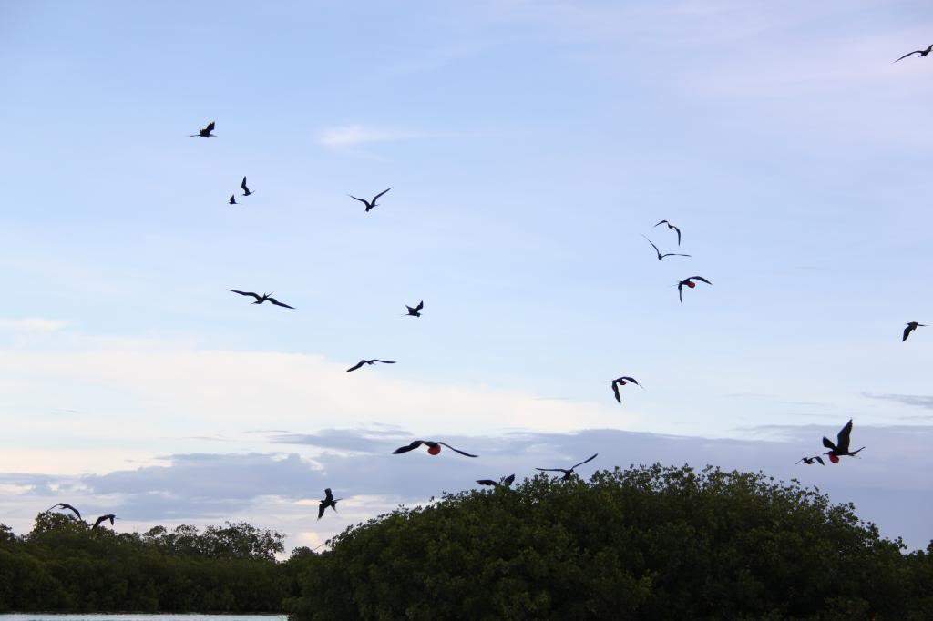 ai1000.photobucket.com_albums_af124_Apilif_Punta_20Cana_IMG_0451.jpg