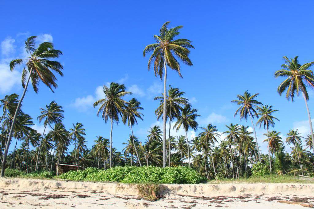 ai1000.photobucket.com_albums_af124_Apilif_Punta_20Cana_IMG_0918.jpg
