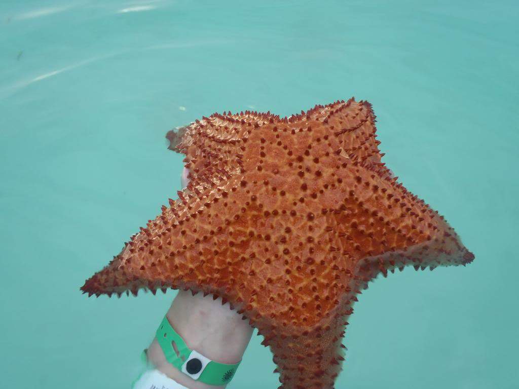 ai1000.photobucket.com_albums_af124_Apilif_Punta_20Cana_PB050234.jpg