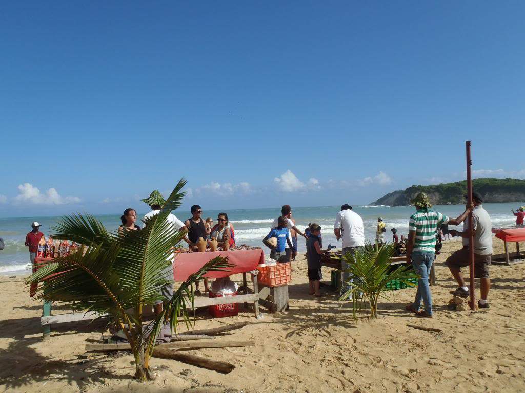 ai1000.photobucket.com_albums_af124_Apilif_Punta_20Cana_PB080064.jpg