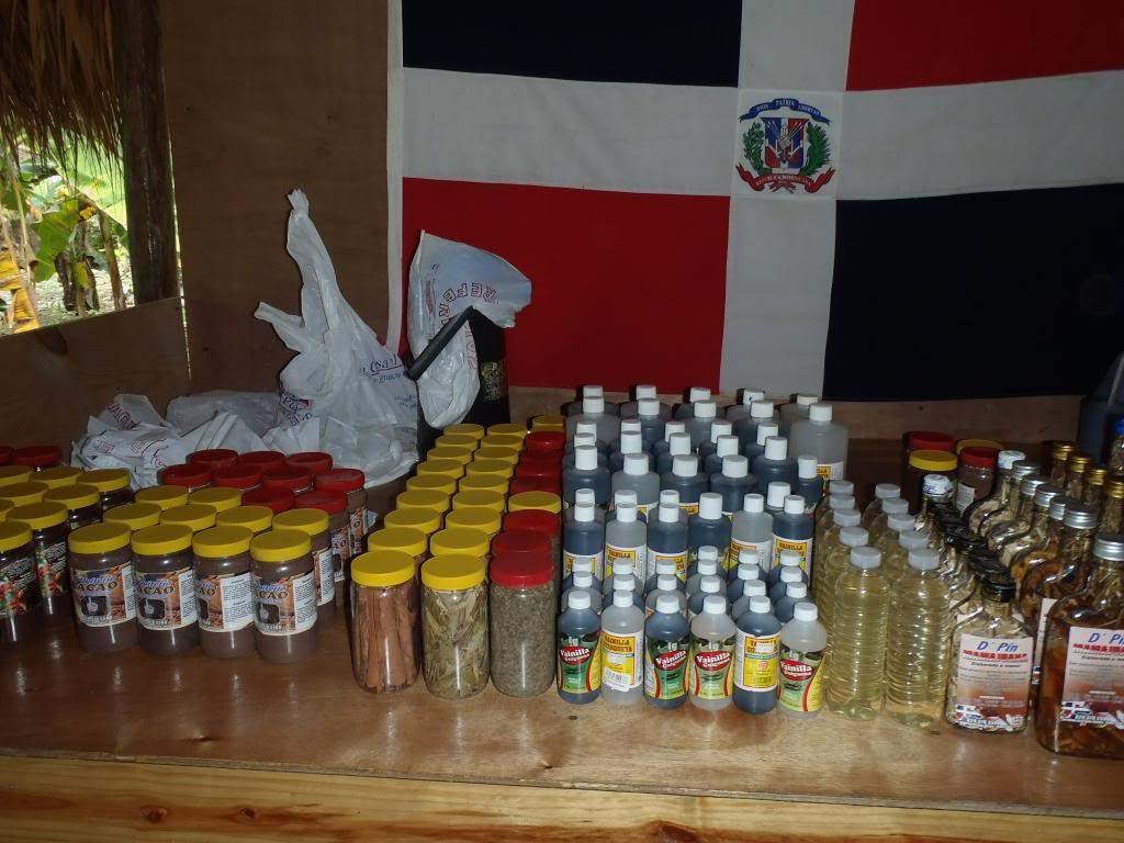 ai1000.photobucket.com_albums_af124_Apilif_Punta_20Cana_PB080128.jpg