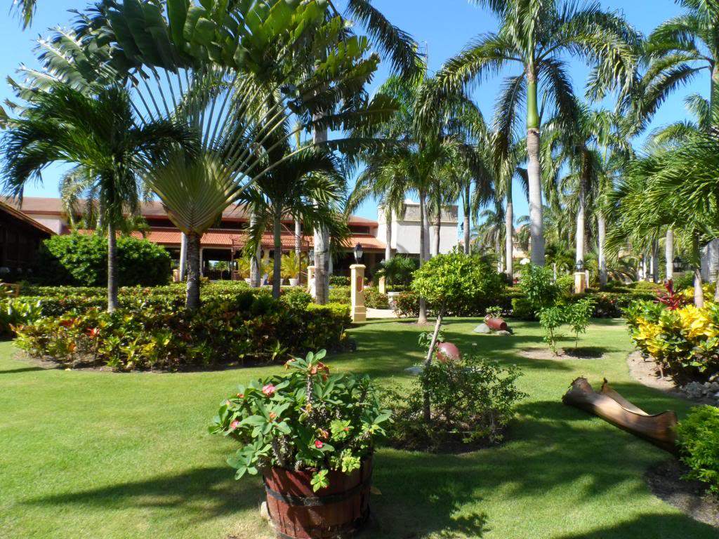 ai1000.photobucket.com_albums_af124_Apilif_Punta_20Cana_SAM_0279.jpg