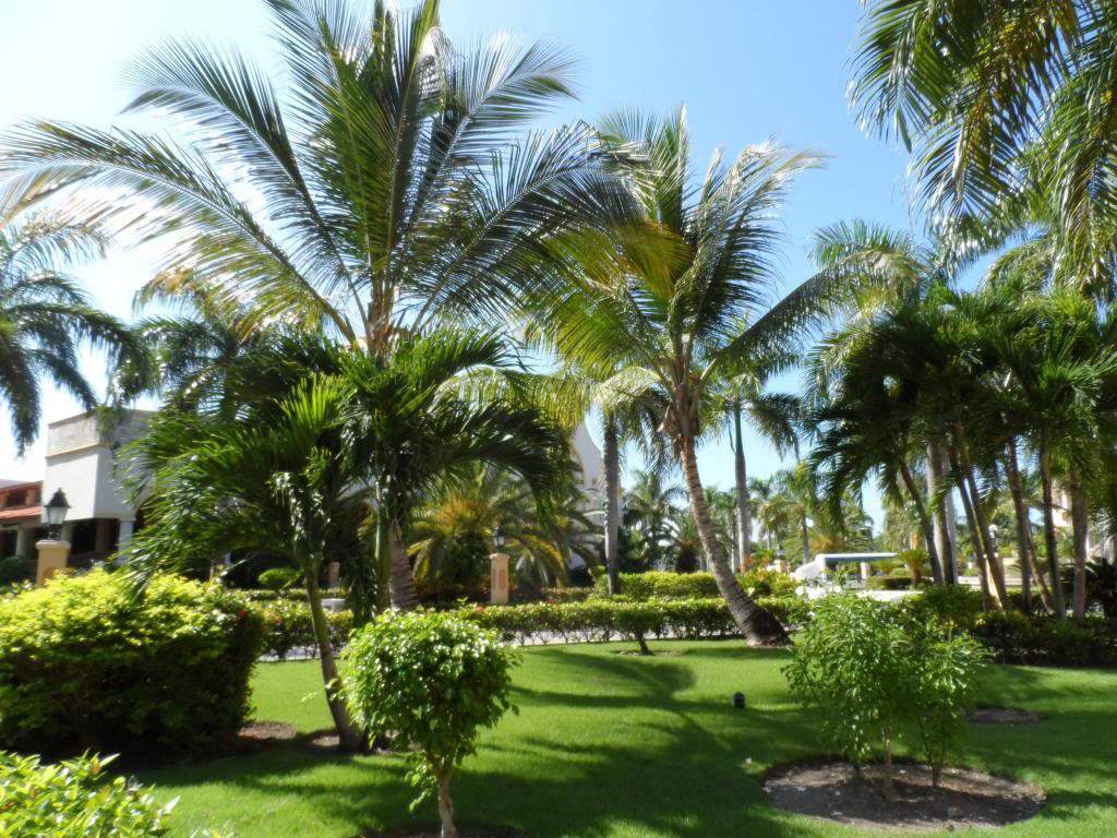 ai1000.photobucket.com_albums_af124_Apilif_Punta_20Cana_SAM_0283.jpg