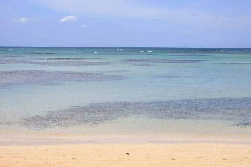 ai1000.photobucket.com_albums_af124_Apilif_Samana_202011_IMG_2357Copiar.jpg