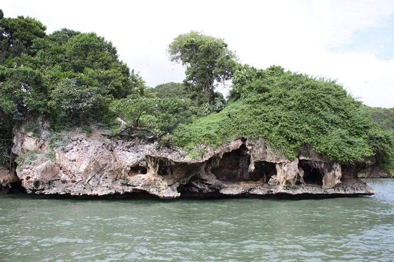 ai1000.photobucket.com_albums_af124_Apilif_Samana_202011_IMG_2551Copiar.jpg